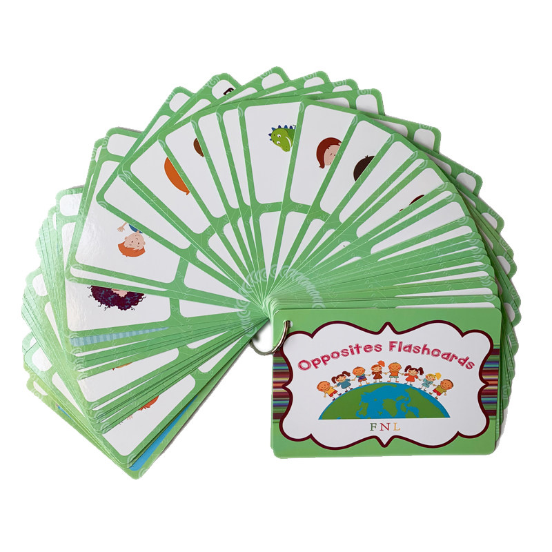 Kids Toys Variety - 100 cartes mémoire sur les groupes