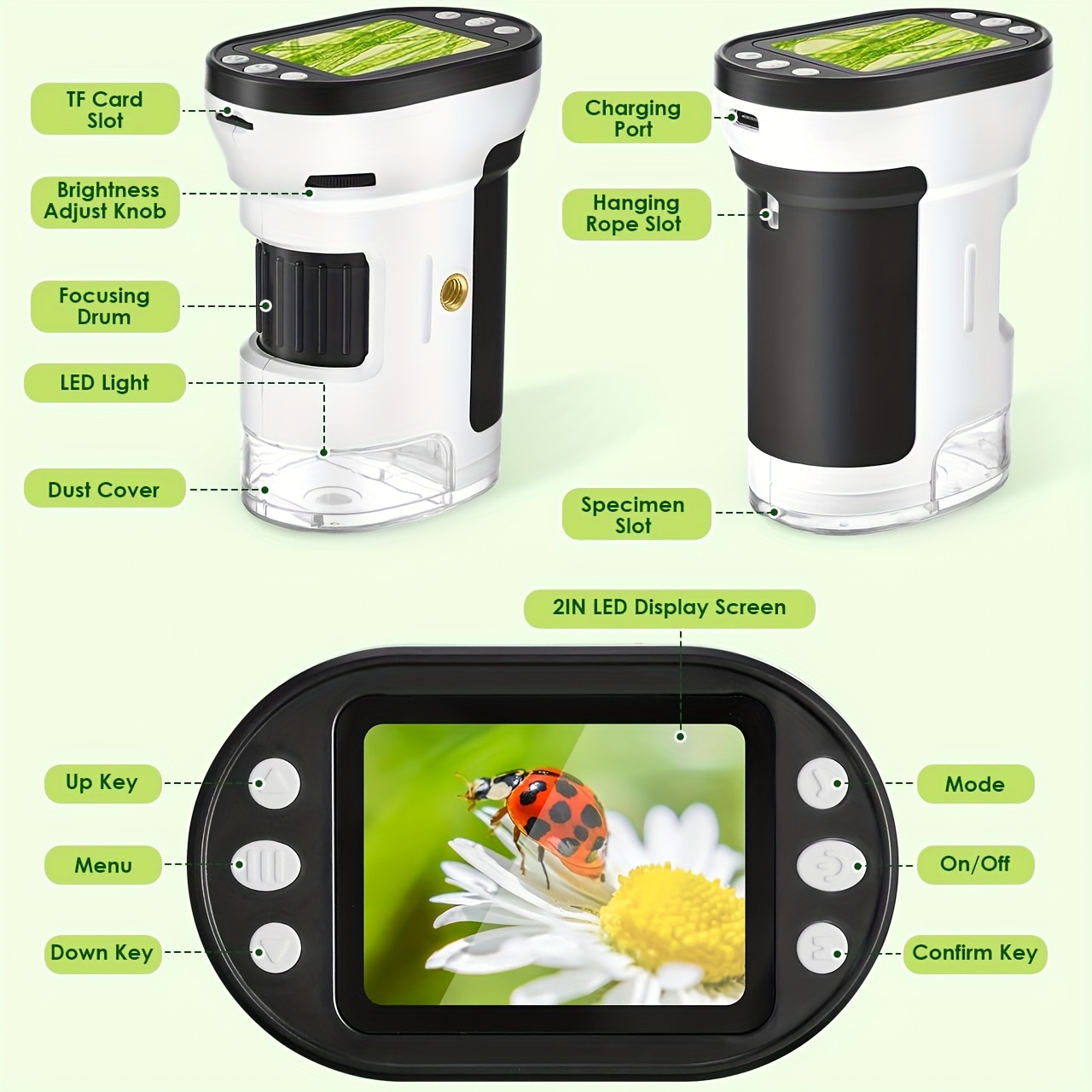 Kit de microscope biologique p - Kids Toys Horse avis et prix